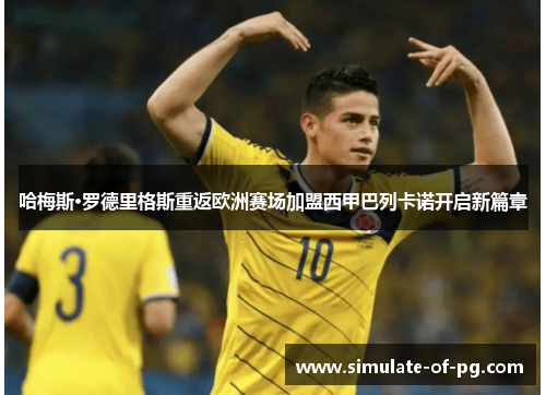 哈梅斯·罗德里格斯重返欧洲赛场加盟西甲巴列卡诺开启新篇章 哈梅斯·罗德里格斯重返欧洲赛场加盟西甲巴列卡诺开启新篇章